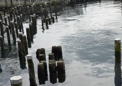 Farhad Sadeghi Amini