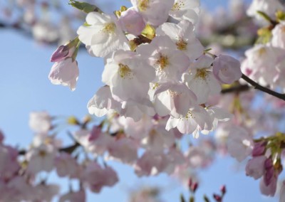 Farhad Sadeghi Amini