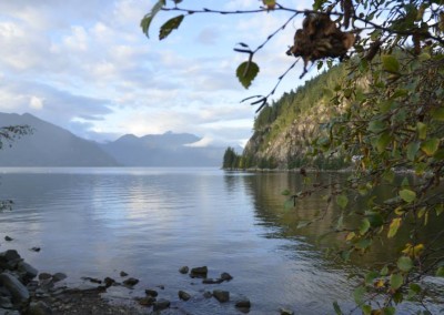 Farhad Sadeghi Amini