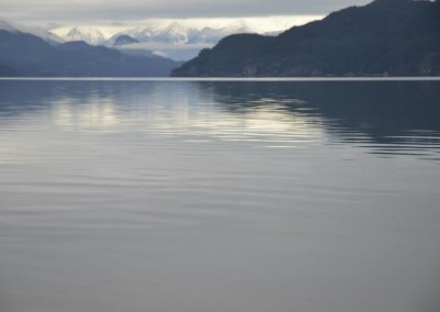 Farhad Sadeghi Amini