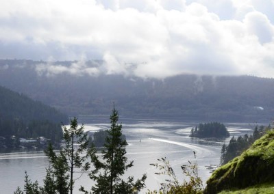 Farhad Sadeghi Amini