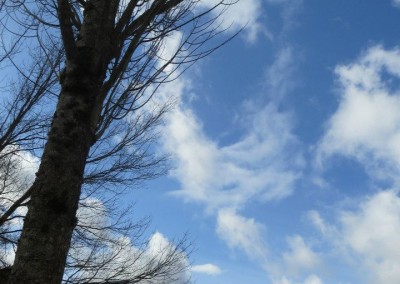 Farhad Sadeghi Amini