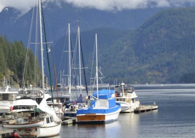 Farhad Sadeghi Amini