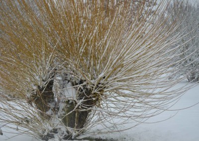 Farhad Sadeghi Amini