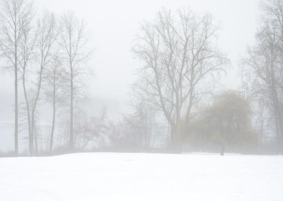 Farhad Sadeghi Amini