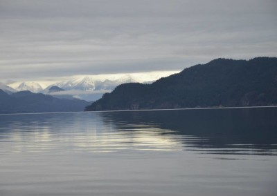 Farhad Sadeghi Amini