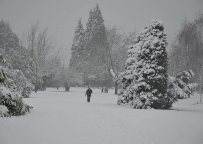 Farhad Sadeghi Amini