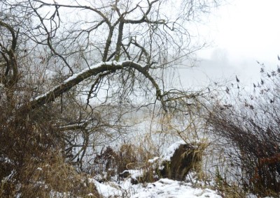 Farhad Sadeghi Amini