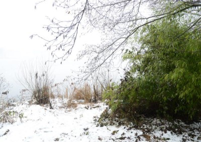 Farhad Sadeghi Amini