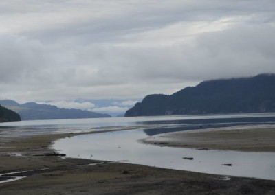 Farhad Sadeghi Amini