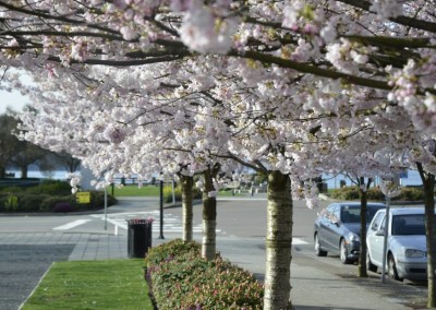 Farhad Sadeghi Amini