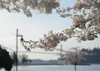 Farhad Sadeghi Amini