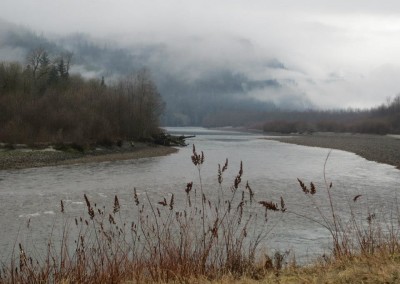 Farhad Sadeghi Amini