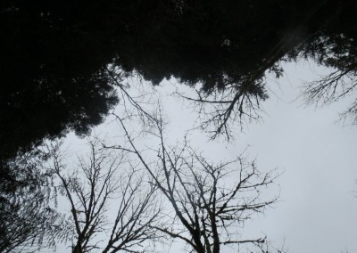 Farhad Sadeghi Amini