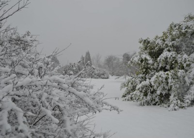 Farhad Sadeghi Amini