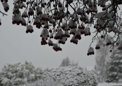 Farhad Sadeghi Amini