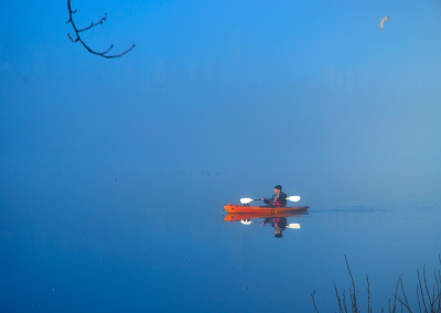 FARHAD SADEGHI AMINI