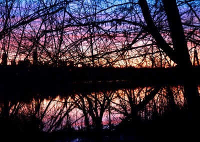 Farhad Sadeghi Amini