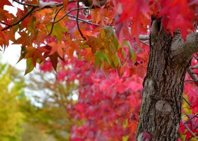 Farhad Sadeghi Amini