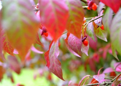 Farhad Sadeghi Amini