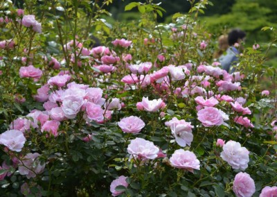 Farhad Sadeghi Amini