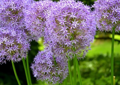 Farhad Sadeghi Amini