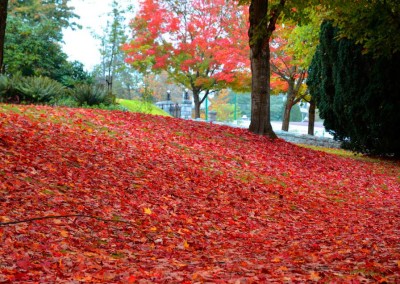 Farhad Sadeghi Amini