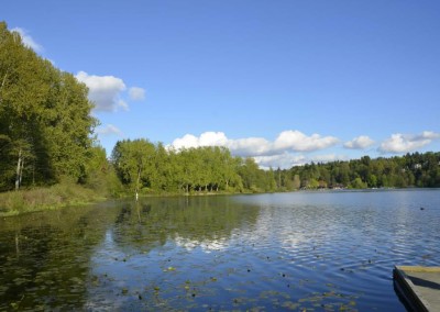 Farhad Sadeghi Amini