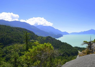 Farhad Sadeghi Amini