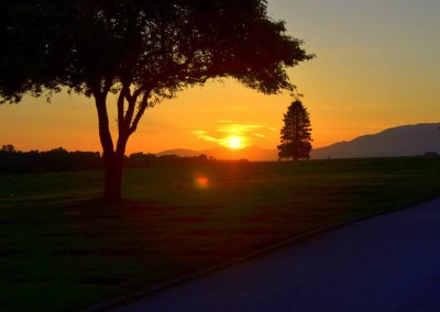 Farhad Sadeghi Amini