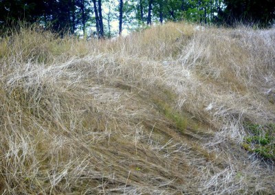 Farhad Sadeghi Amini