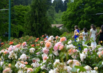 Farhad Sadeghi Amini