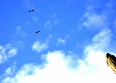 Farhad Sadeghi Amini