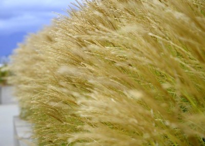 Farhad Sadeghi Amini