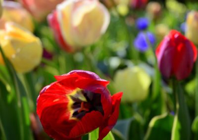 Farhad Sadeghi Amini