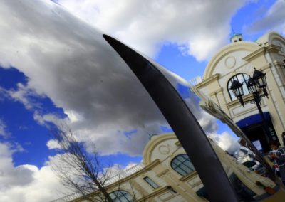 Farhad Sadeghi Amini