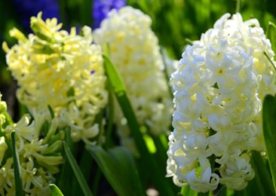 Farhad Sadeghi Amini