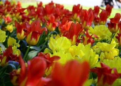 Farhad Sadeghi Amini