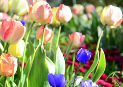 Farhad Sadeghi Amini