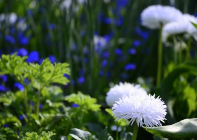 Farhad Sadeghi Amini