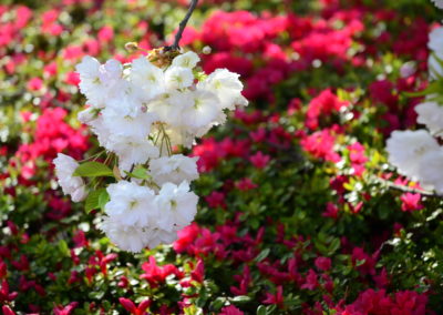 Farhad Sadeghi Amini