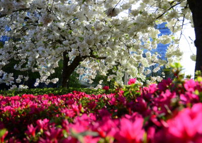 Farhad Sadeghi Amini